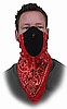 Red Paisley Neodanna, Half Face Mask
